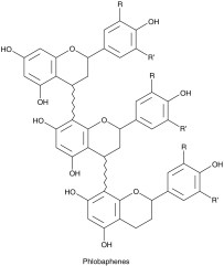 Phlobaphenes
